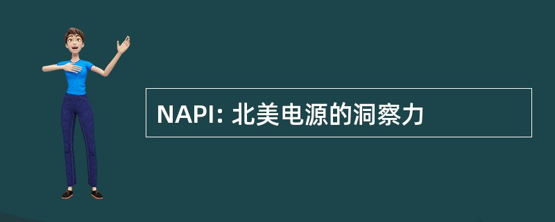 NAPI: 北美电源的洞察力