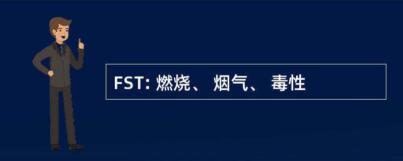 FST: 燃烧、 烟气、 毒性