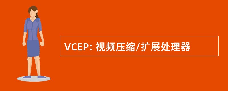 VCEP: 视频压缩/扩展处理器