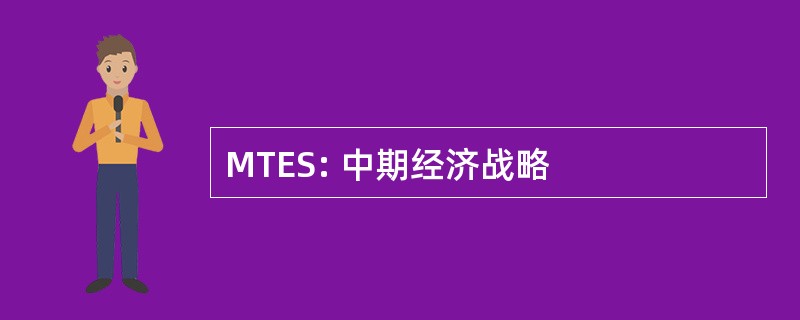 MTES: 中期经济战略