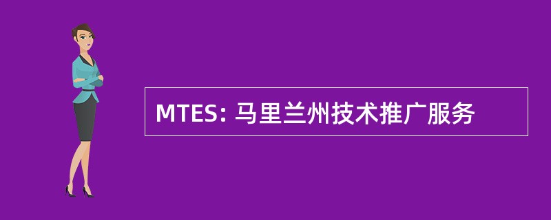 MTES: 马里兰州技术推广服务