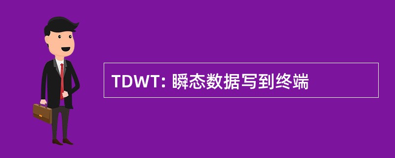 TDWT: 瞬态数据写到终端