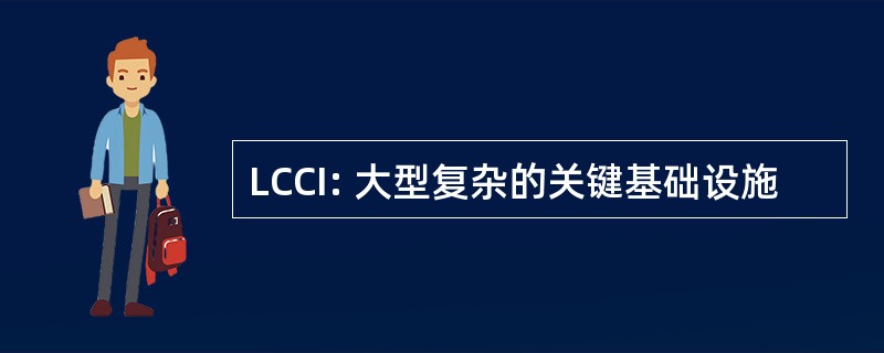 LCCI: 大型复杂的关键基础设施