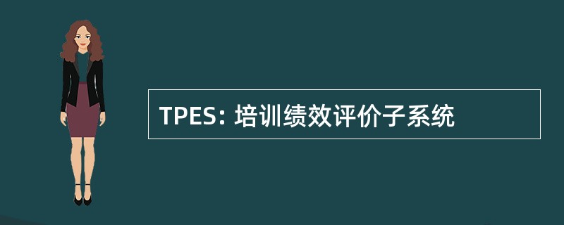 TPES: 培训绩效评价子系统