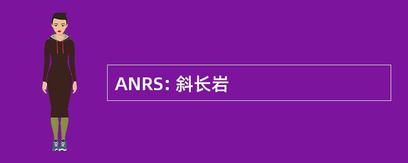 ANRS: 斜长岩