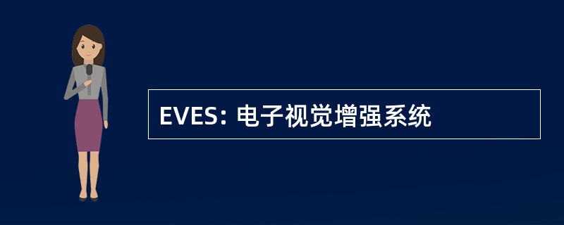 EVES: 电子视觉增强系统