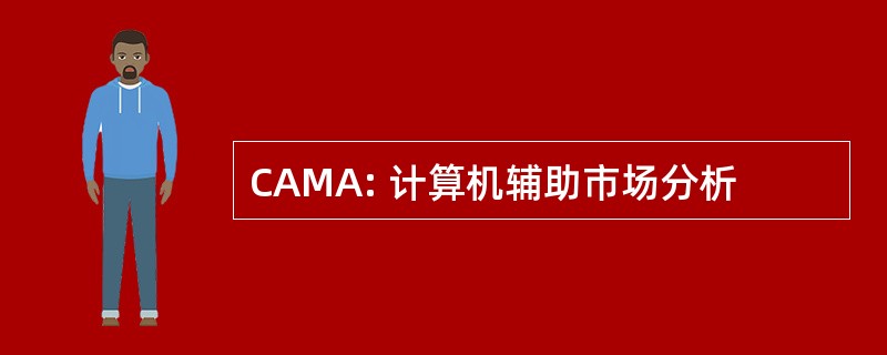 CAMA: 计算机辅助市场分析