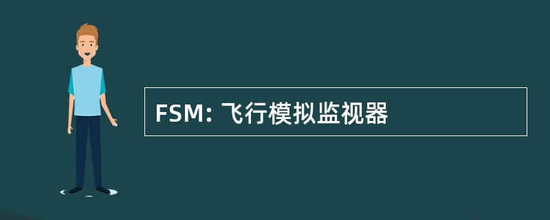 FSM: 飞行模拟监视器