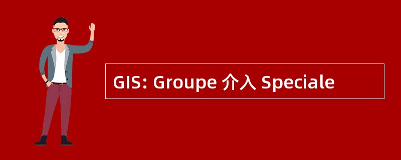 GIS: Groupe 介入 Speciale