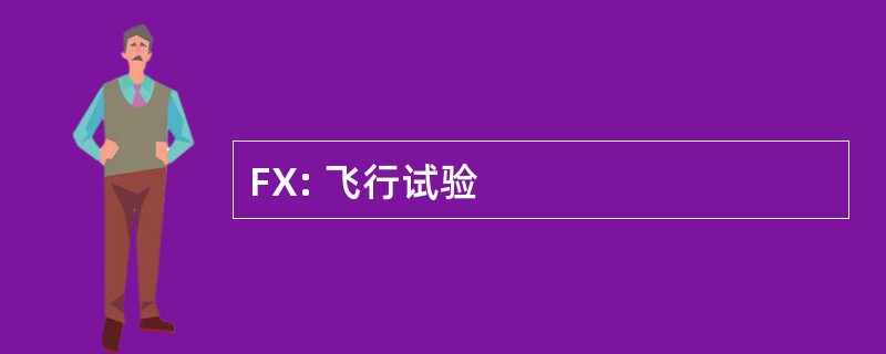 FX: 飞行试验