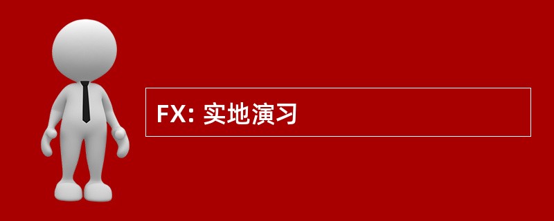 FX: 实地演习