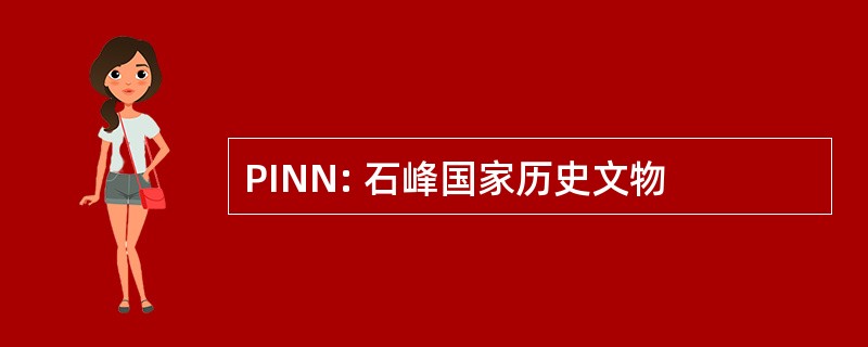 PINN: 石峰国家历史文物