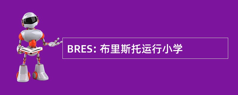 BRES: 布里斯托运行小学