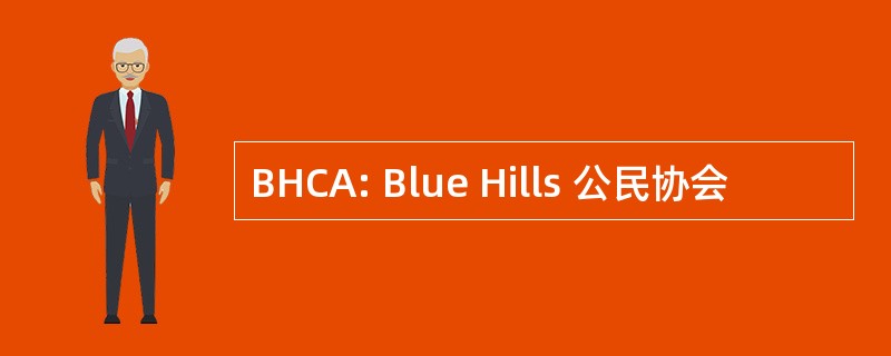 BHCA: Blue Hills 公民协会