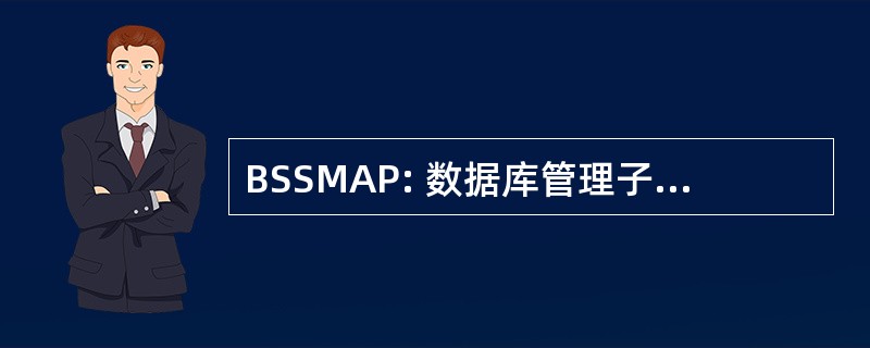 BSSMAP: 数据库管理子系统移动应用部分