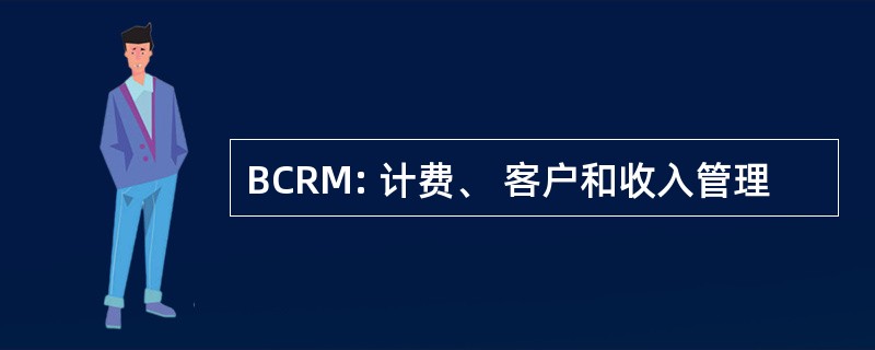 BCRM: 计费、 客户和收入管理