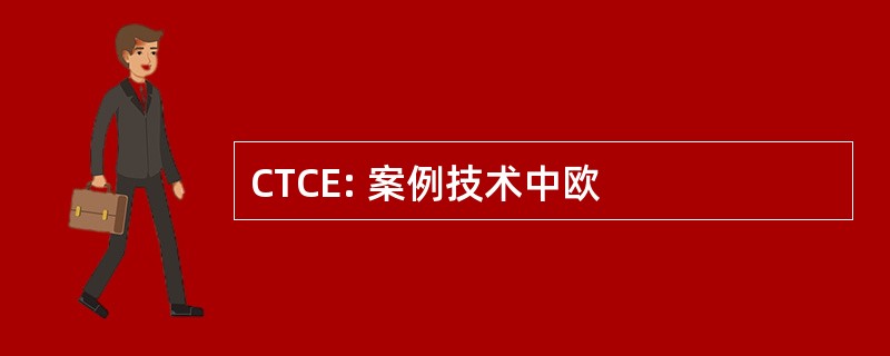 CTCE: 案例技术中欧