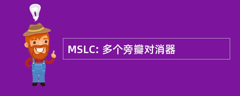 MSLC: 多个旁瓣对消器