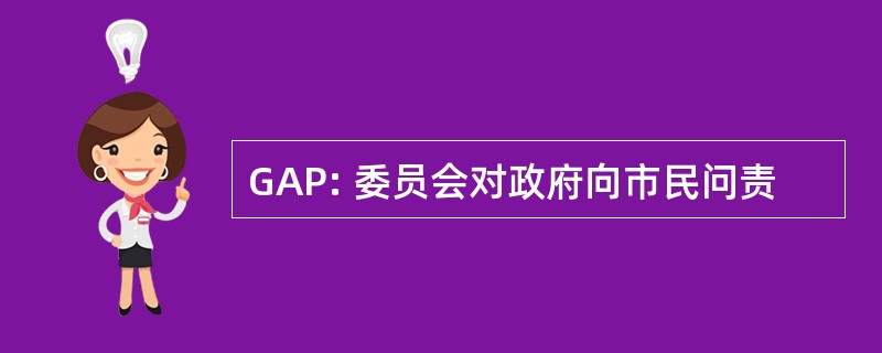 GAP: 委员会对政府向市民问责