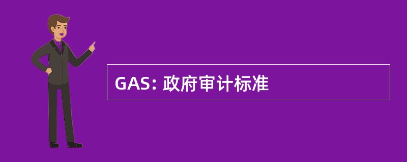 GAS: 政府审计标准