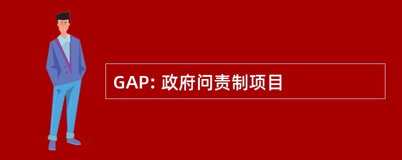 GAP: 政府问责制项目