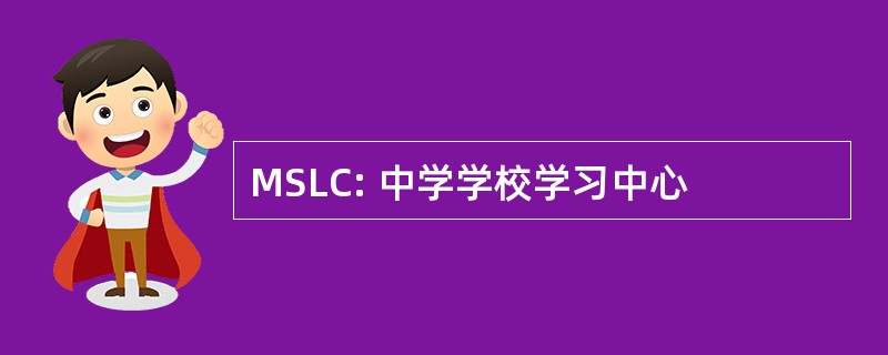 MSLC: 中学学校学习中心