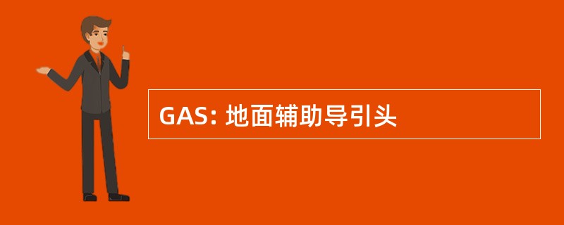 GAS: 地面辅助导引头