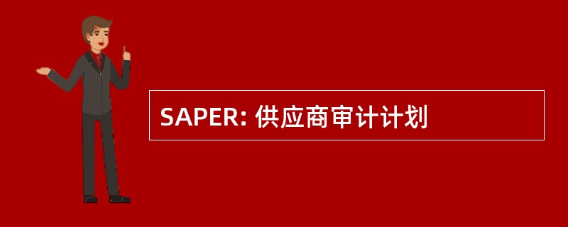 SAPER: 供应商审计计划