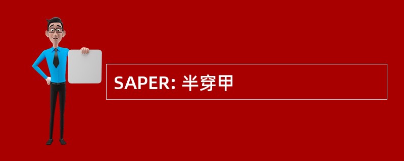 SAPER: 半穿甲