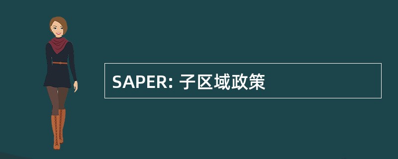 SAPER: 子区域政策