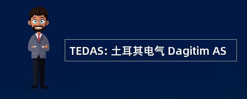 TEDAS: 土耳其电气 Dagitim AS