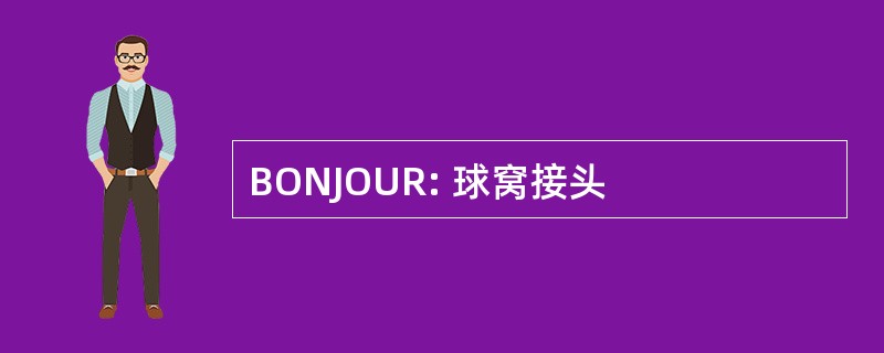 BONJOUR: 球窝接头