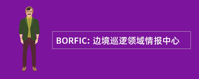 BORFIC: 边境巡逻领域情报中心