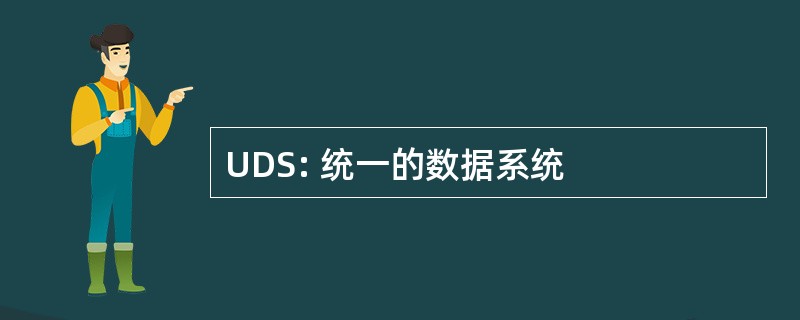 UDS: 统一的数据系统