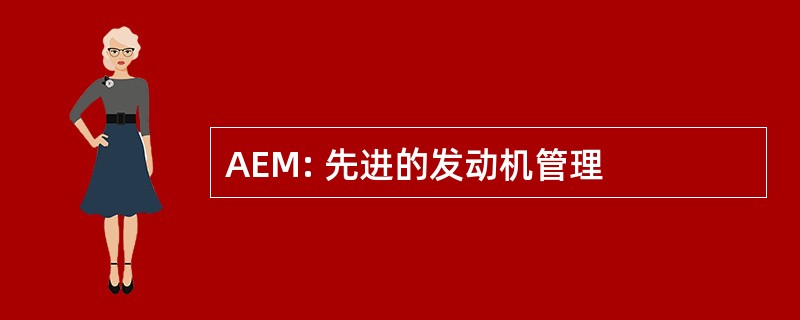 AEM: 先进的发动机管理