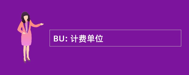 BU: 计费单位