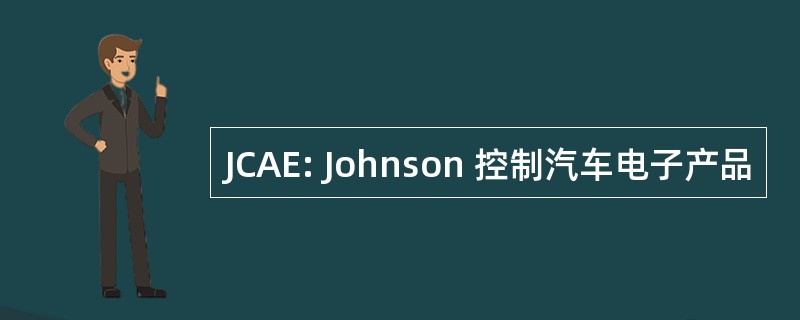 JCAE: Johnson 控制汽车电子产品