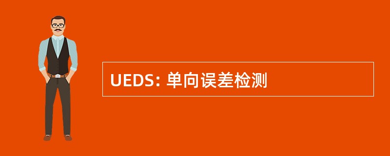 UEDS: 单向误差检测