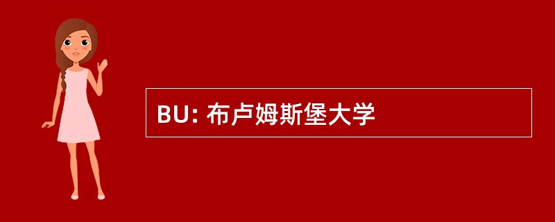 BU: 布卢姆斯堡大学