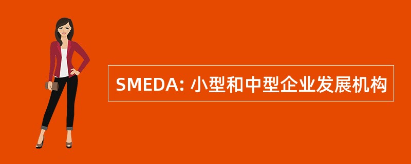 SMEDA: 小型和中型企业发展机构