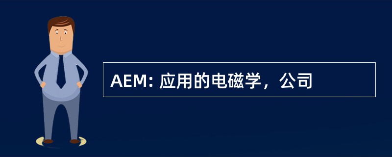 AEM: 应用的电磁学，公司