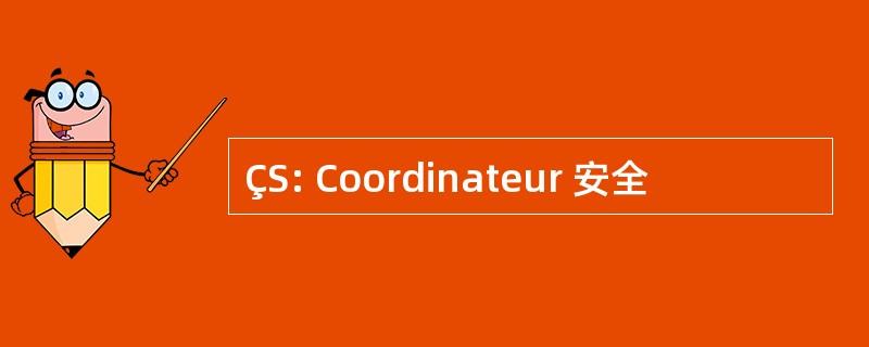 ÇS: Coordinateur 安全