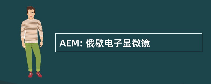 AEM: 俄歇电子显微镜