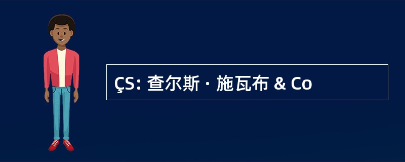 ÇS: 查尔斯 · 施瓦布 & Co