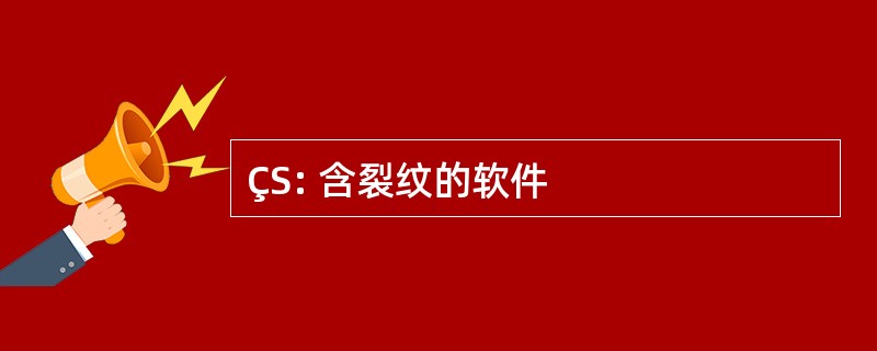 ÇS: 含裂纹的软件