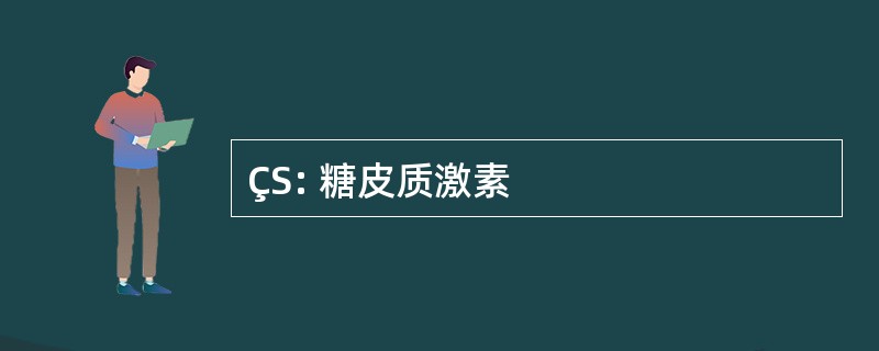 ÇS: 糖皮质激素