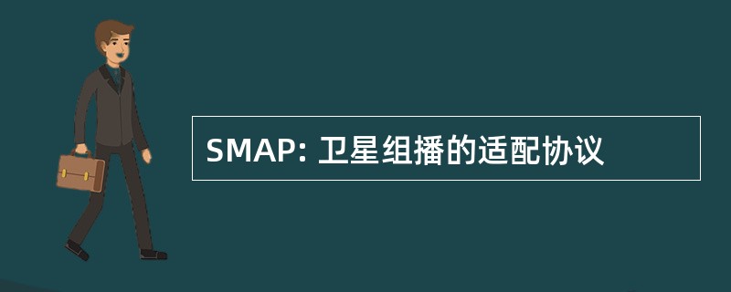 SMAP: 卫星组播的适配协议