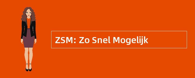 ZSM: Zo Snel Mogelijk