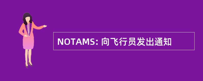 NOTAMS: 向飞行员发出通知