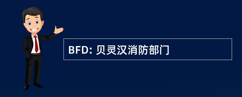 BFD: 贝灵汉消防部门